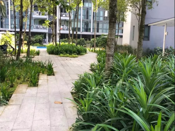 整套出租 • 碧山 •  Riversound Residence • S$3000 • 共管公寓 • 452ft² / 41m² 照片