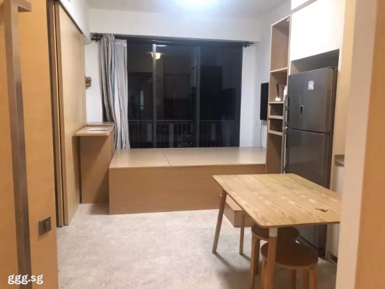 整套出租 • 碧山 •  Riversound Residence • S$3000 • 共管公寓 • 452ft² / 41m² 照片