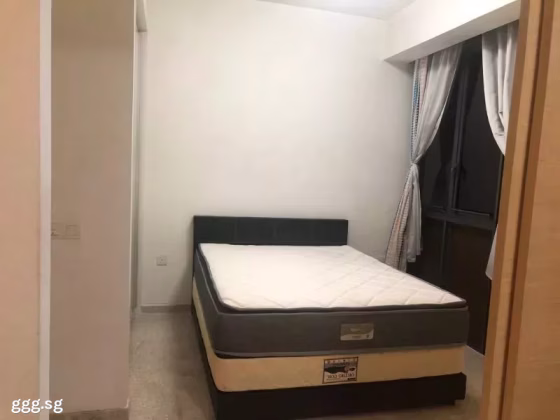 整套出租 • 碧山 •  Riversound Residence • S$3000 • 共管公寓 • 452ft² / 41m² 照片