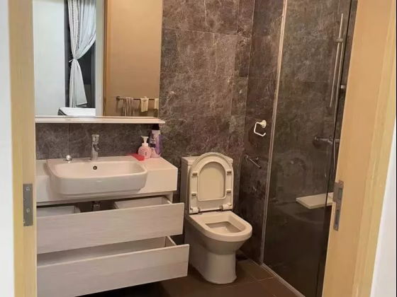 整套出租 • 碧山 •  Riversound Residence • S$3000 • 共管公寓 • 452ft² / 41m² 照片