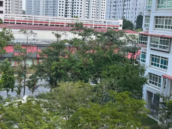 单间出租 • 碧山 • 212C Compassvale Drive • S$1000 • 4房(3臥室) • 普通房 照片