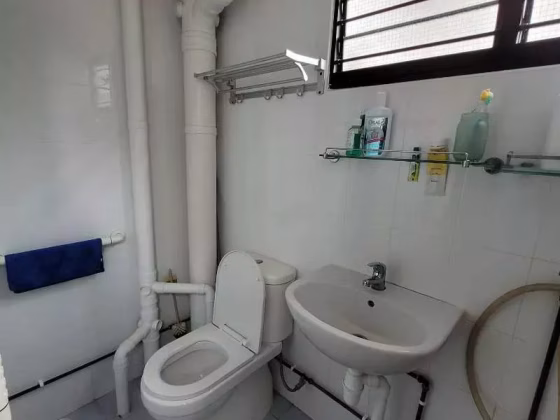 单间出租 • 武吉巴督 • 333 Bukit Batok Street 32 • S$1000 • 4房(3臥室) • 普通房 照片