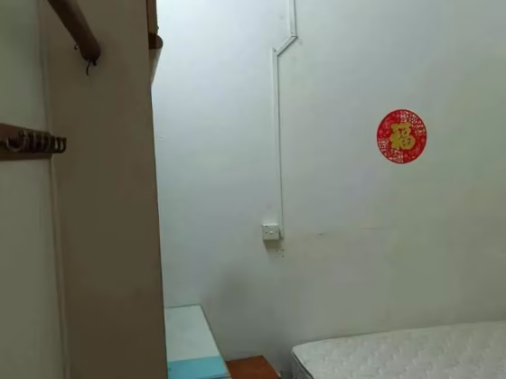 单间出租 • 新邦 • JOO CHIAT ROAD (427598) • S$1100 • 联排排屋 • 普通房 照片