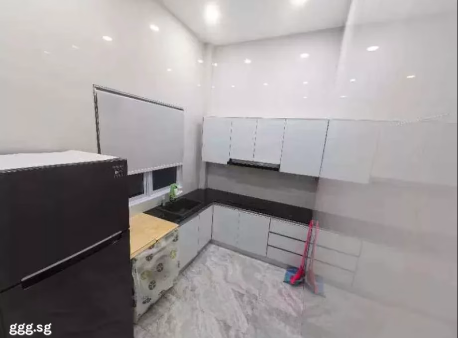 单间出租 • 纽顿 • THOMSON ROAD (307593) • S$3000 • 联排排屋 • 主人房 照片