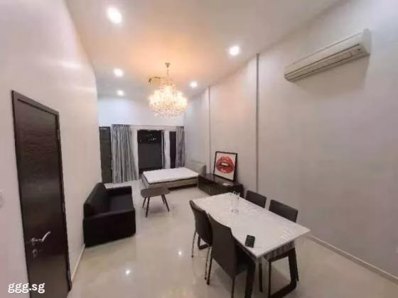单间出租 • 纽顿 • THOMSON ROAD (307593) • S$3000 • 联排排屋 • 主人房 照片