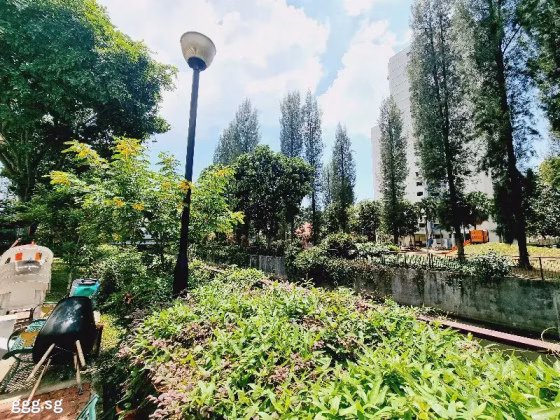房屋出售 • 纽顿 • 75 Whampoa Drive • S$350000 • 3房(2臥室) • 699ft² / 64m² 照片