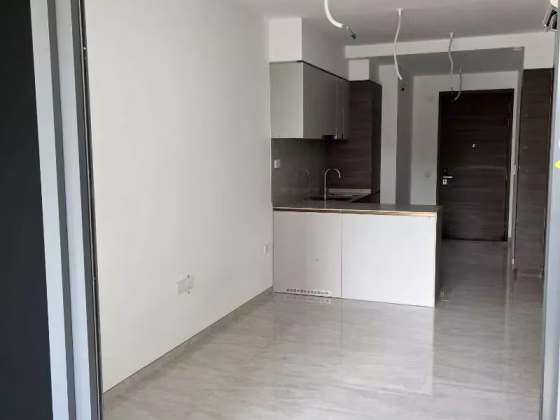 整套出租 • 新加坡河 •  The Florence Residences • S$3500 • 2房(1臥室) • 527ft² / 48m² 照片
