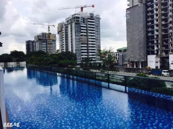 单间出租 • 马林百列 •  18 Woodsville • S$2450 • 住宅公寓 • 主人房 照片