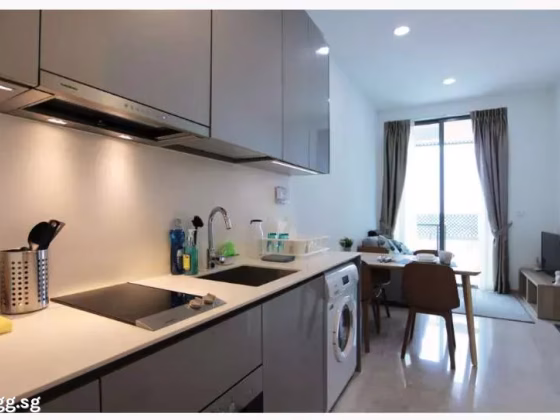 整套出租 • 博物馆 •  City Gate • S$3100 • 住宅公寓 • 452ft² / 41m² 照片