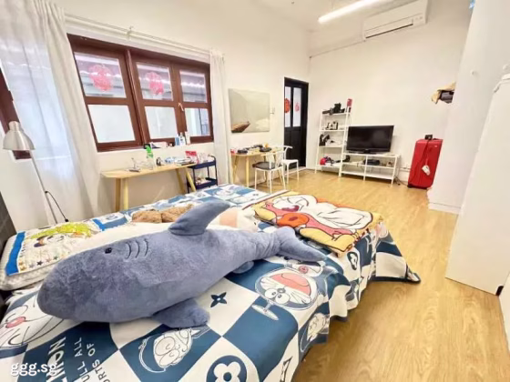 整套出租 • 南部群岛 • NIVEN ROAD (228382) • S$3000 • 联排排屋 •  照片