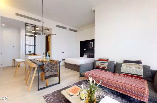 整套出租 • 博物馆 •  Kallang Riverside • S$2900 • 住宅公寓 • 517ft² / 48m²