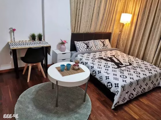 单间出租 • 南部群岛 •  Wilkie 87 • S$2400 • 住宅公寓 • 主人房 照片