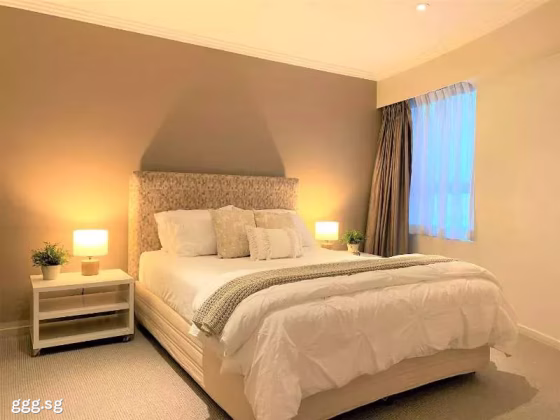 单间出租 • 纽顿 •  Newton Suites • S$800 • 住宅公寓 • 主人房 照片