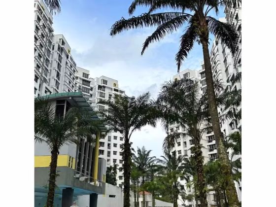 单间出租 • 新加坡河 •  The Florida • S$1200 • 共管公寓 • 普通房 照片