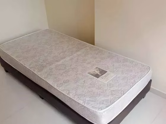 单间出租 • 梧槽 • 506B Yishun Avenue 4 • S$850 • 3房(2臥室) • 普通房 照片