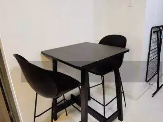 整套出租 • 南部群岛 •  Liv On Sophia • S$3400 • 住宅公寓 • 538ft² / 49m² 照片