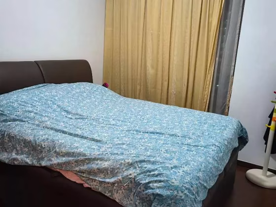 整套出租 • 武吉知马 •  Archipelago • S$3400 • 共管公寓 • 527ft² / 48m² 照片