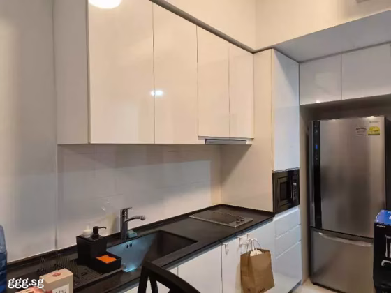 整套出租 • 武吉知马 •  Archipelago • S$3400 • 共管公寓 • 527ft² / 48m² 照片