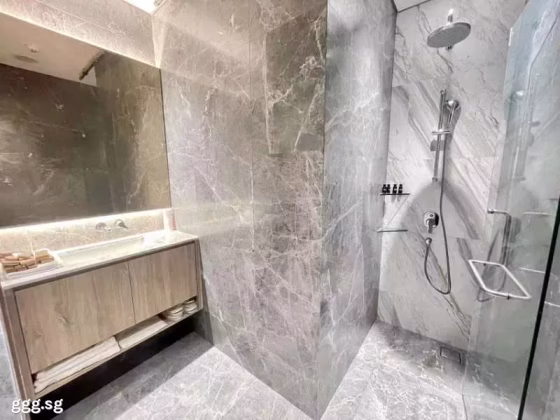 整套出租 • 淡滨尼 •  Tan Quee Lan Suites • S$6800 • 住宅公寓 •  照片