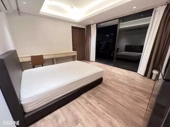 整套出租 • 淡滨尼 •  Tan Quee Lan Suites • S$6800 • 住宅公寓 •  照片