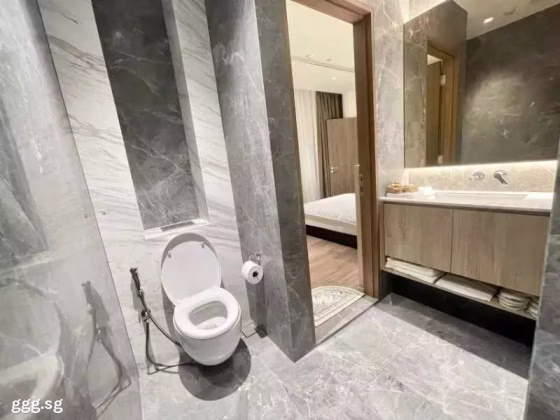 整套出租 • 淡滨尼 •  Tan Quee Lan Suites • S$6800 • 住宅公寓 •  照片