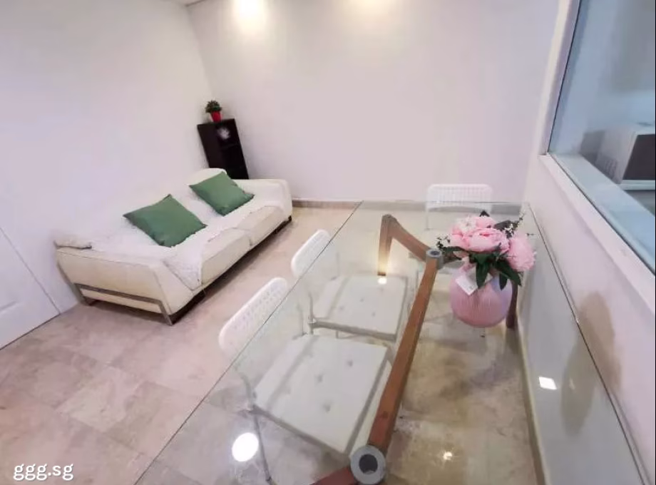 单间出租 • 南部群岛 •  Wilkie 87 • S$1600 • 住宅公寓 • 普通房 照片