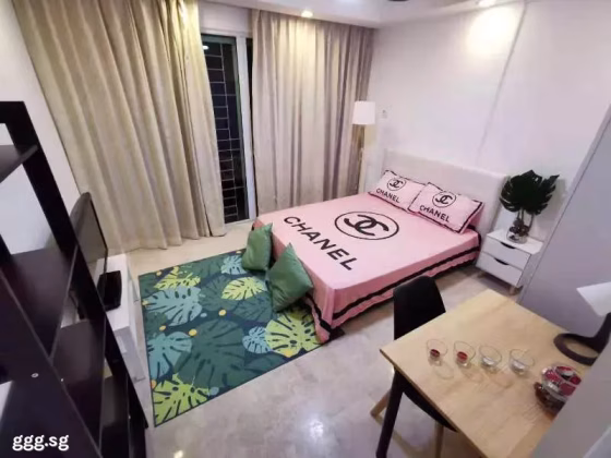 单间出租 • 南部群岛 •  Wilkie 87 • S$1600 • 住宅公寓 • 普通房 照片