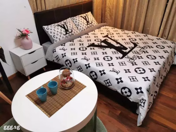 单间出租 • 南部群岛 •  Wilkie 87 • S$1600 • 住宅公寓 • 普通房 照片