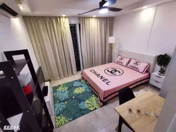 单间出租 • 南部群岛 •  Wilkie 87 • S$1600 • 住宅公寓 • 普通房 照片