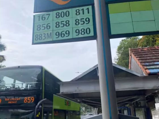 单间出租 • 梧槽 • 115B Yishun Ring Road • S$900 • 3房(2臥室) • 普通房 照片