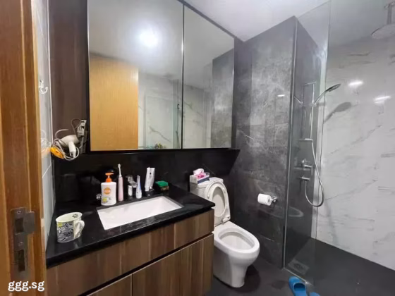整套出租 • 蔡厝港 •  The Verandah Residences • S$3500 • 住宅公寓 • 474ft² / 44m² 照片