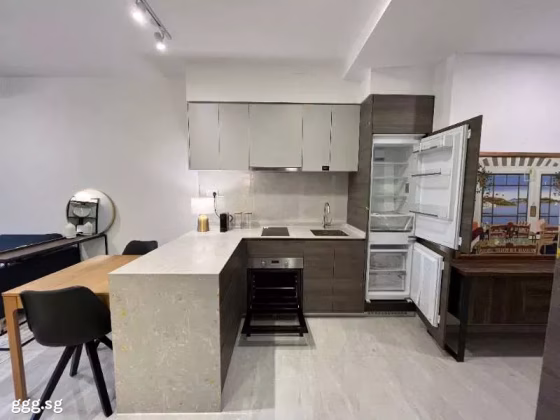 整套出租 • 新加坡河 •  The Florence Residences • S$3350 • 共管公寓 • 527ft² / 48m² 照片