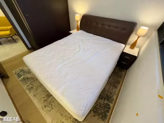 整套出租 • 新加坡河 •  The Florence Residences • S$3350 • 共管公寓 • 527ft² / 48m² 照片