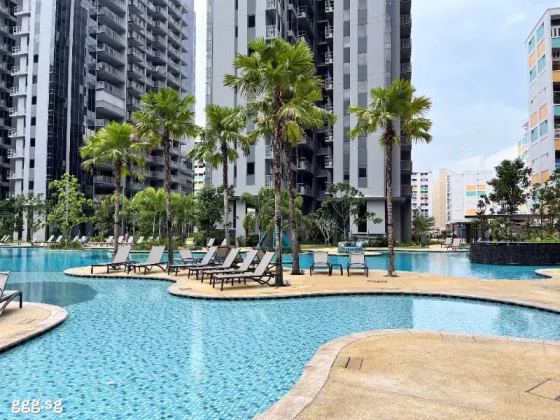 整套出租 • 新加坡河 •  The Florence Residences • S$3350 • 共管公寓 • 527ft² / 48m² 照片
