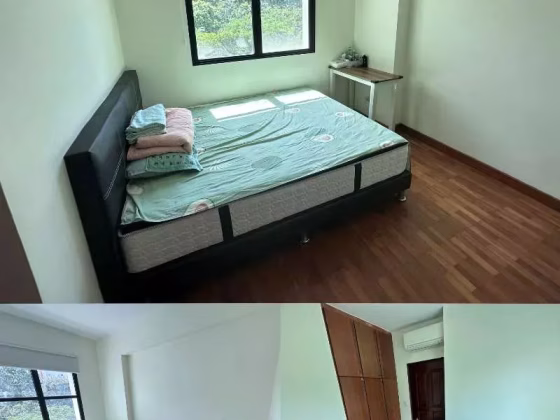 单间出租 • 巴耶利峇 •  Westmere • S$1700 • 共管公寓 • 普通房 照片