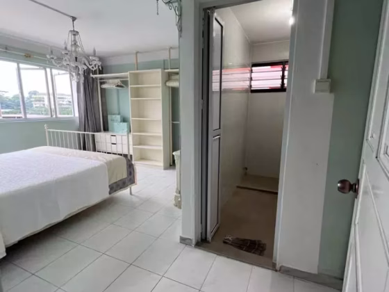 单间出租 • 市中心 • 165 Bishan Street 13 • S$1750 • 5房(4臥室) • 主人房 照片