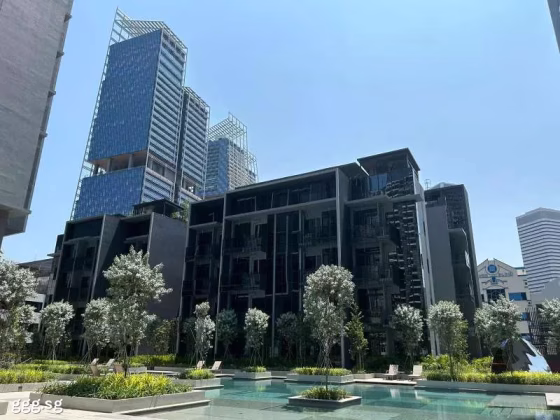 整套出租 • 淡滨尼 •  The M • S$1999990 • 住宅公寓 •  照片