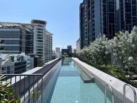 整套出租 • 淡滨尼 •  The M • S$1999990 • 住宅公寓 •  照片