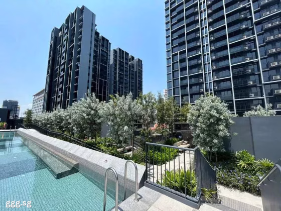整套出租 • 淡滨尼 •  The M • S$1999990 • 住宅公寓 •  照片