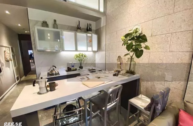 整套出租 • 淡滨尼 •  The M • S$10000000 • 住宅公寓 • 400ft² / 37m²