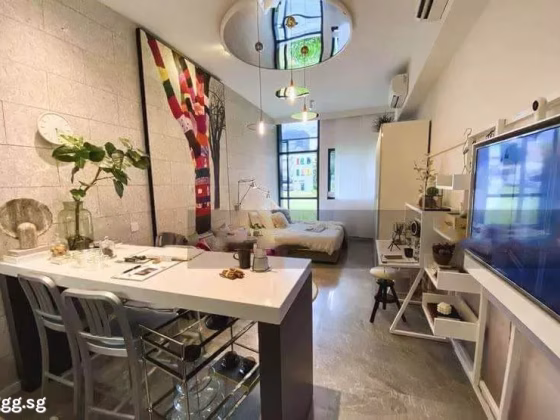 整套出租 • 淡滨尼 •  The M • S$10000000 • 住宅公寓 • 400ft² / 37m² 照片