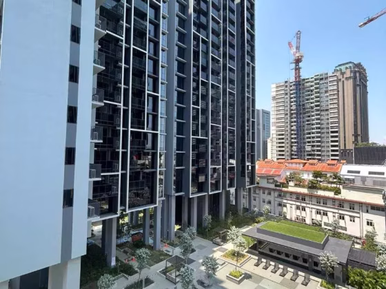 整套出租 • 淡滨尼 •  The M • S$10000000 • 住宅公寓 • 400ft² / 37m² 照片