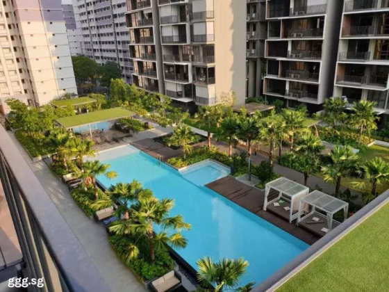 整套出租 • 芽笼 •  Inz Residence • S$4100 • 共管公寓 • 969ft² / 90m² 照片