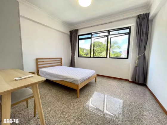 单间出租 • 南部群岛 •  Wilkie 80 • S$1900 • 住宅公寓 • 普通房 照片