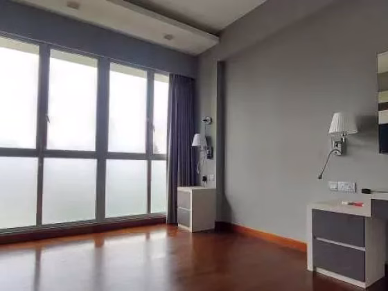 整套出租 • 武吉知马 •  Astor • S$3800 • 住宅公寓 •  照片