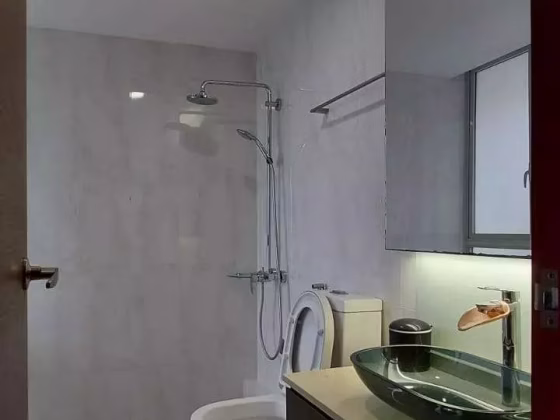 整套出租 • 武吉知马 •  Astor • S$3800 • 住宅公寓 •  照片