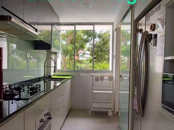 整套出租 • 武吉知马 •  Astor • S$3800 • 住宅公寓 •  照片