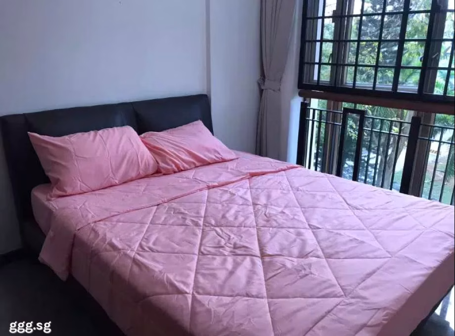 单间出租 • 武吉班让 •  Regent Park • S$1250 • 共管公寓 • 普通房 照片
