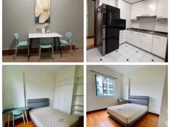 单间出租 • 红山 •  Springdale Condo • S$1280 • 住宅公寓 • 普通房 照片