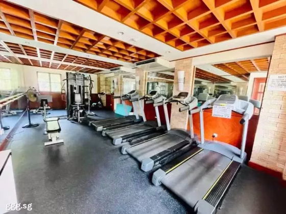 单间出租 • 红山 •  Springdale Condo • S$1280 • 住宅公寓 • 普通房 照片